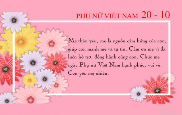 Chúc mẹ ngày Phụ nữ Việt Nam hạnh phúc, vui vẻ. Con yêu mẹ nhiều.