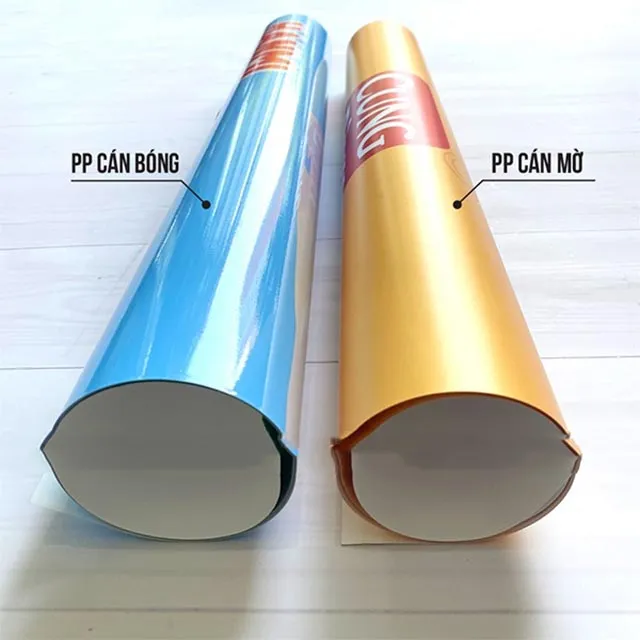Dựa vào tính chất, giấy PP được phân thành PP không keo, PP cán bóng và PP cán mờ