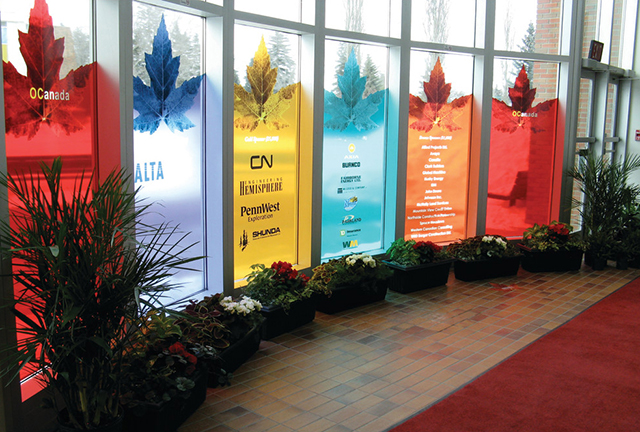 Decal-trong-mau-decal-trong-co-mau-nen