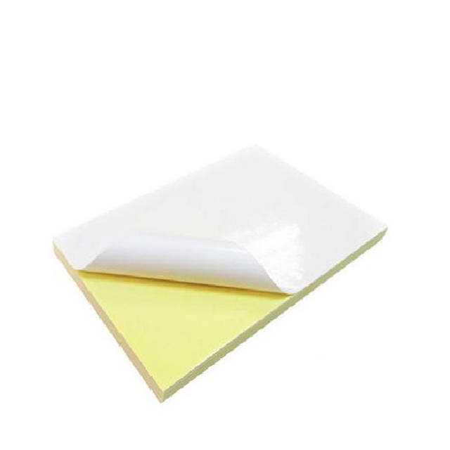 Giấy decal A3 đế vàng