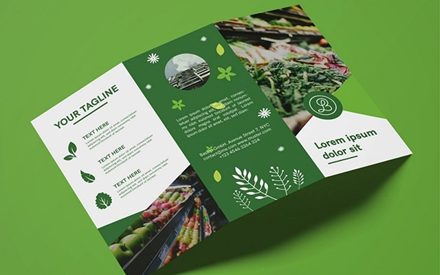 Brochure giới thiệu nông sản